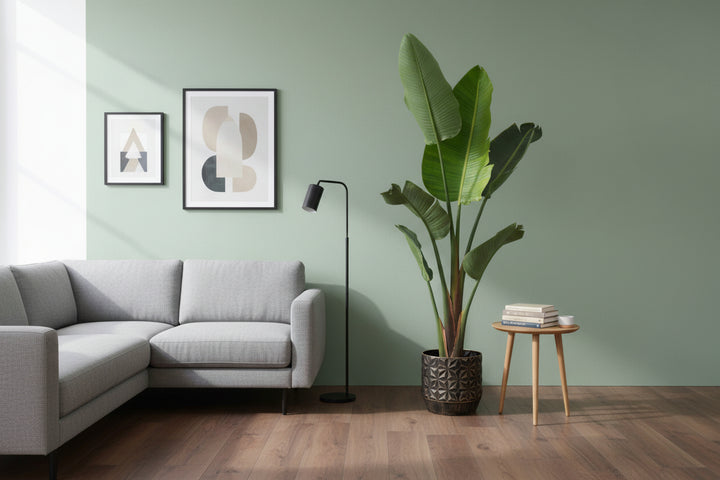 Strelitzia Augusta - Ø30 - 210cm - Paradijsvogelplant