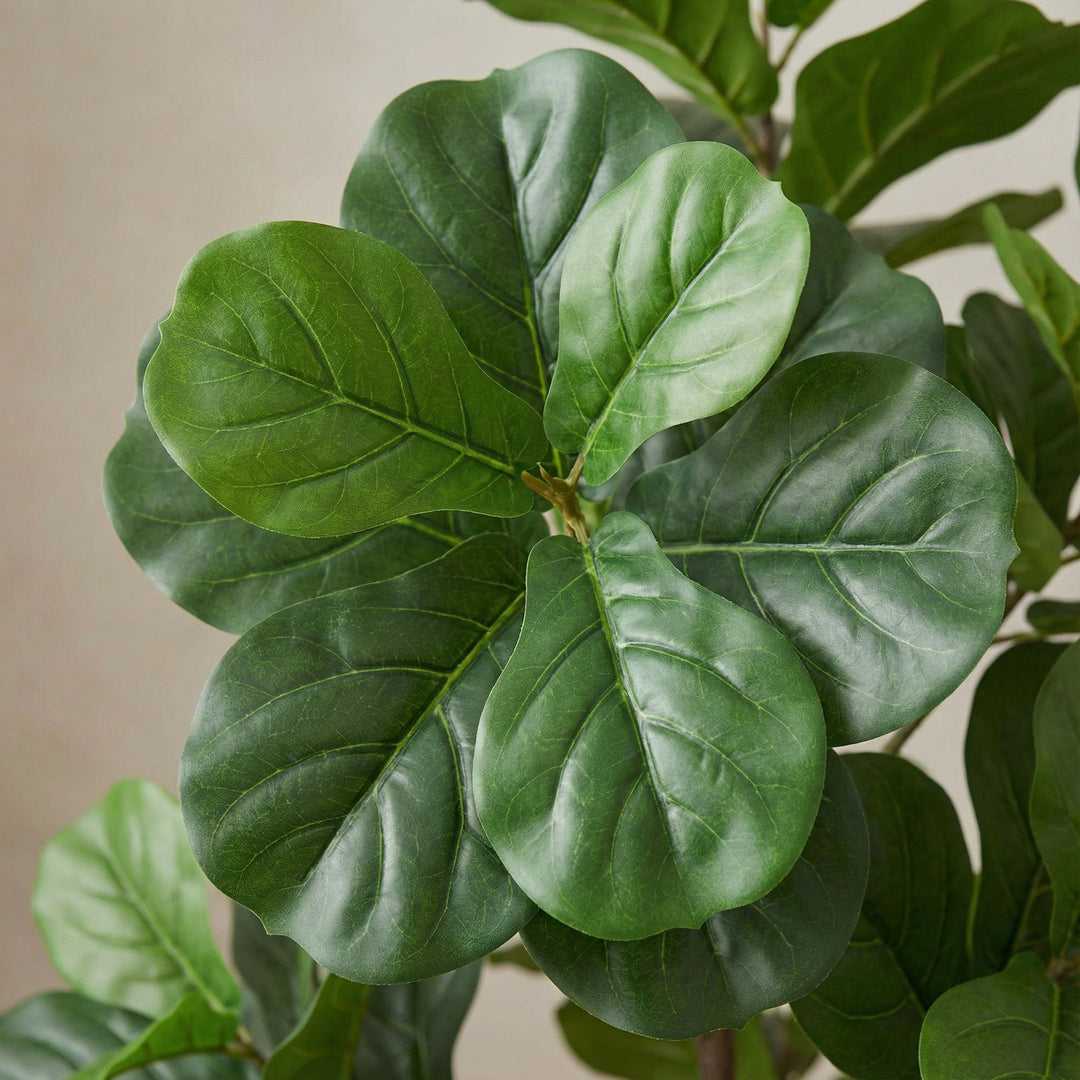 Kunst Ficus lyrata vertakt - 150cm
