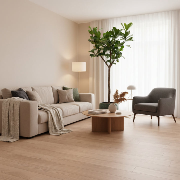 Ficus Lyrata XXXL - 300cm - Vioolbladplant - Kamerplant
