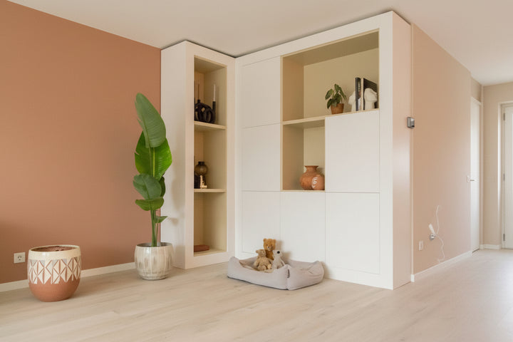 Strelitzia Augusta - Ø30 - 180cm - Paradijsvogelplant