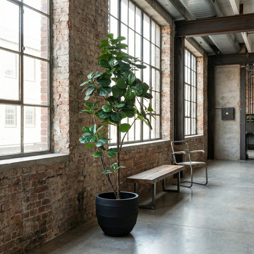 Kunst Ficus lyrata vertakt - 150cm