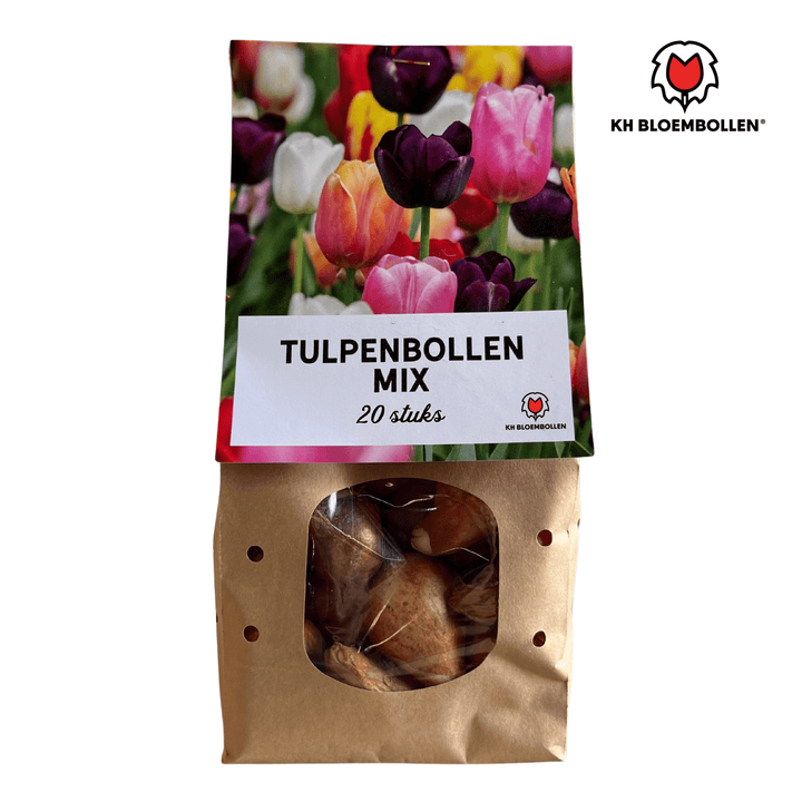 Tulpenzwiebeln farbenfrohe Mischung - 20 Stück - Blumenzwiebeln Garten