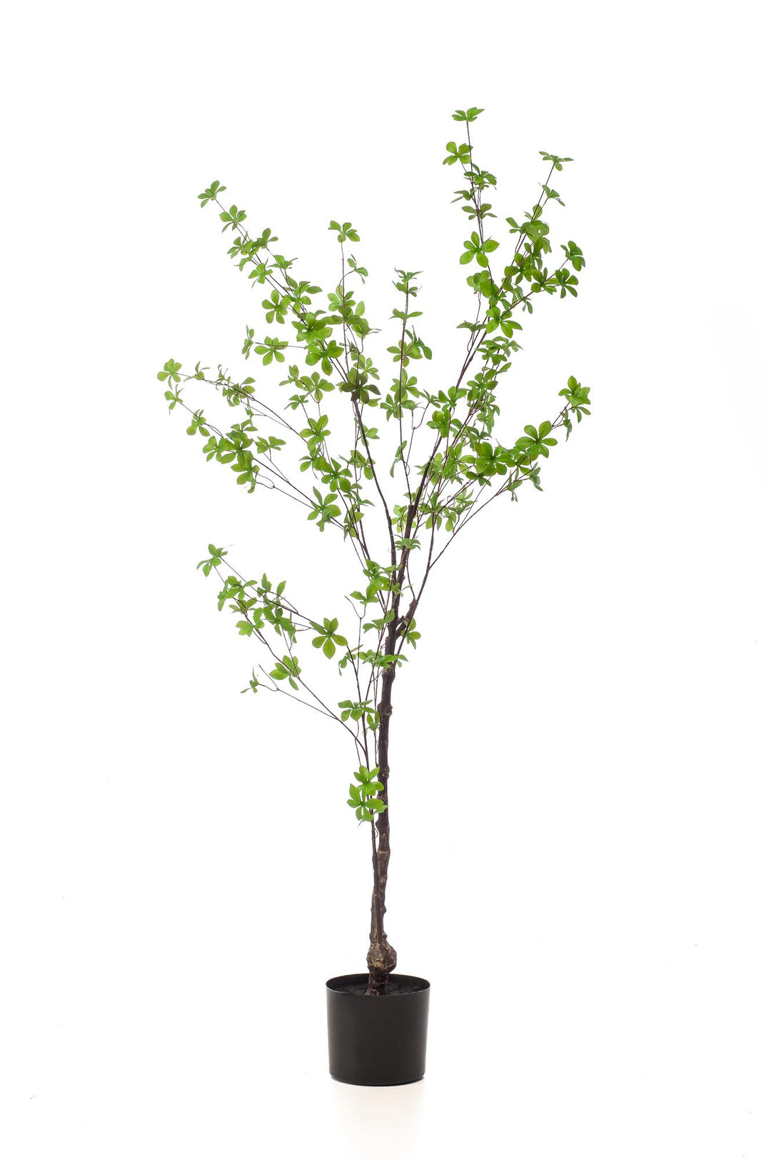 Plante artificielle - Tropaeolum Speciosum - Capucine - 150 cm