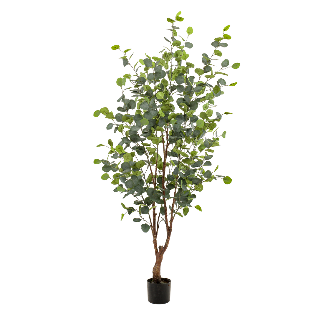 Kunstpflanze - Eukalyptus - Blauer Gummibaum - 140 cm | Kaufen