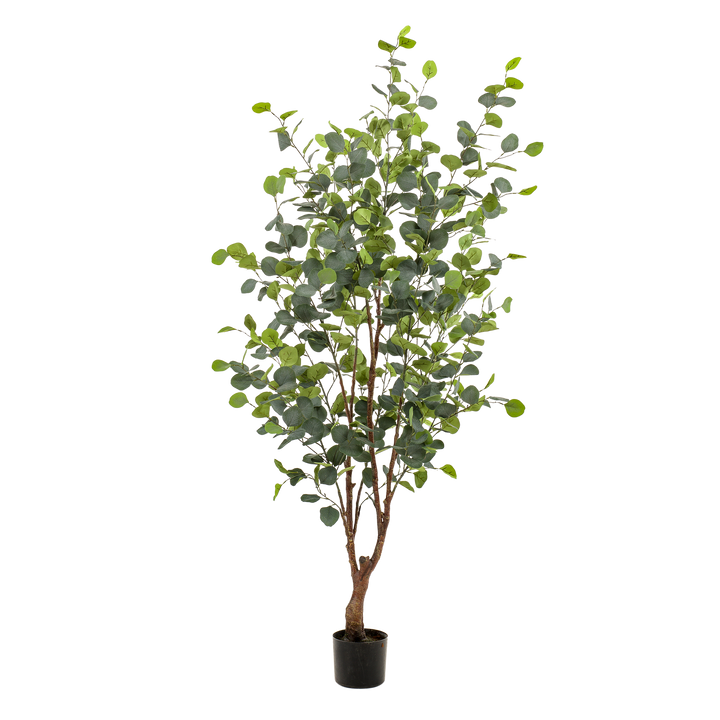 Kunstpflanze - Eukalyptus - Blauer Gummibaum - 140 cm | Kaufen