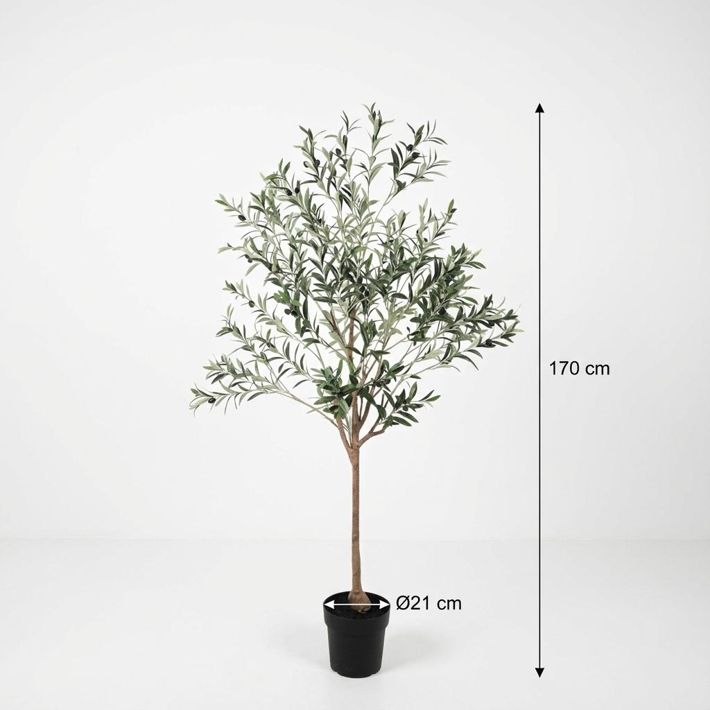 Olijfboom - 170cm - Buiten & interieur