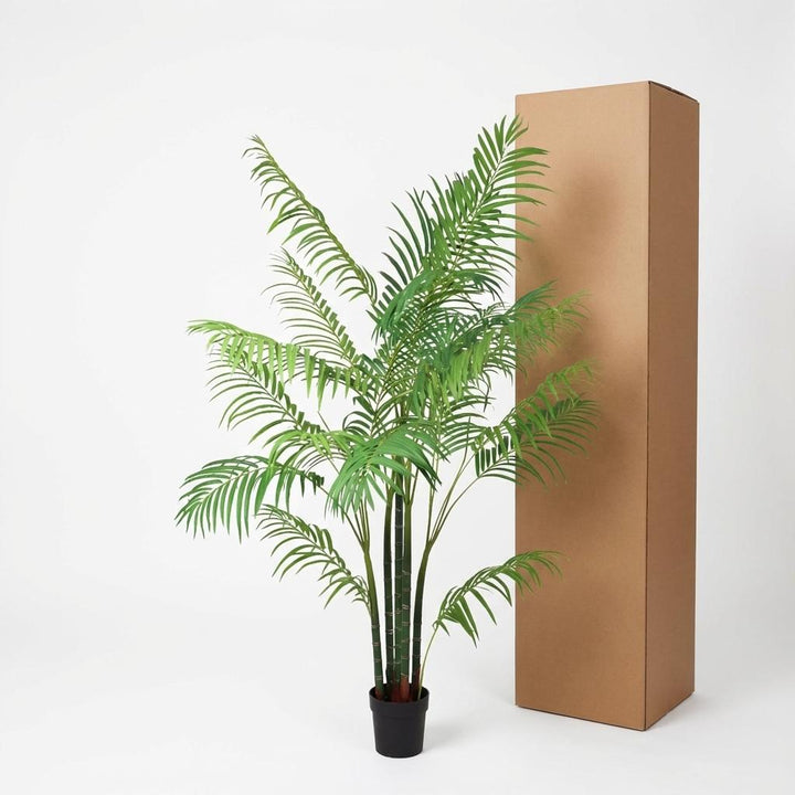 Aréca - 190cm - Plante artificielle - Palmier d'Arec - Acheter une plante d'intérieur