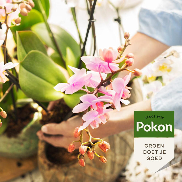 Pokon bio orchidee voeding 250 ml - Plantenverzorging