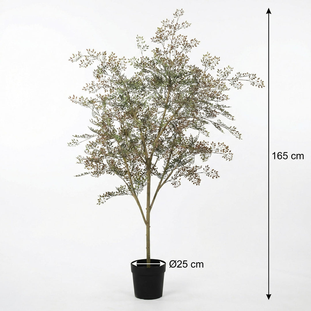 Kunstpflanze Bucida - 165cm - Künstliche Pflanze Interieur | Kaufen