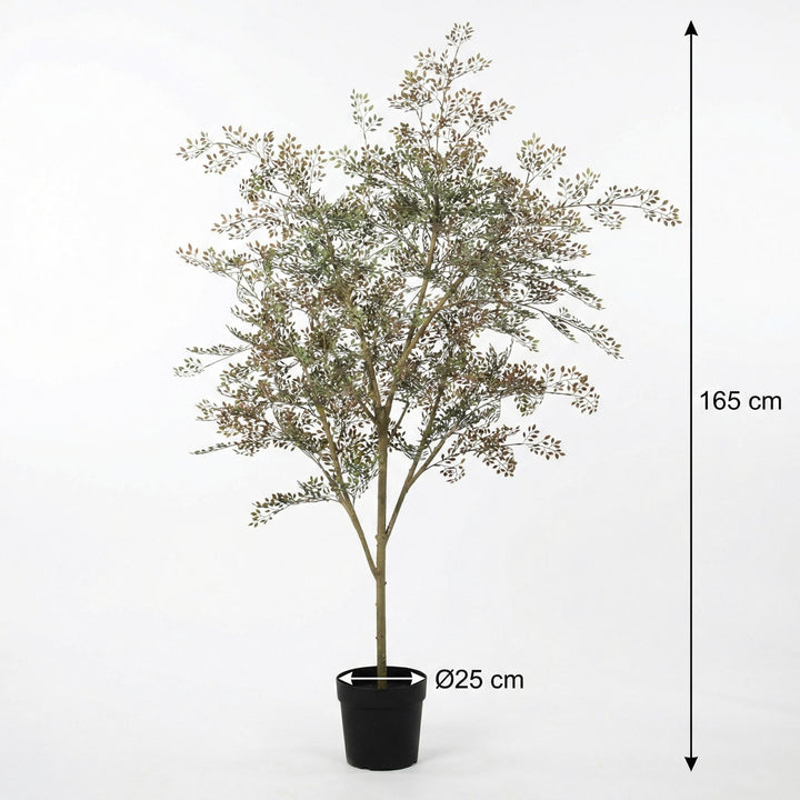 Kunstpflanze Bucida - 165cm - Künstliche Pflanze Interieur | Kaufen