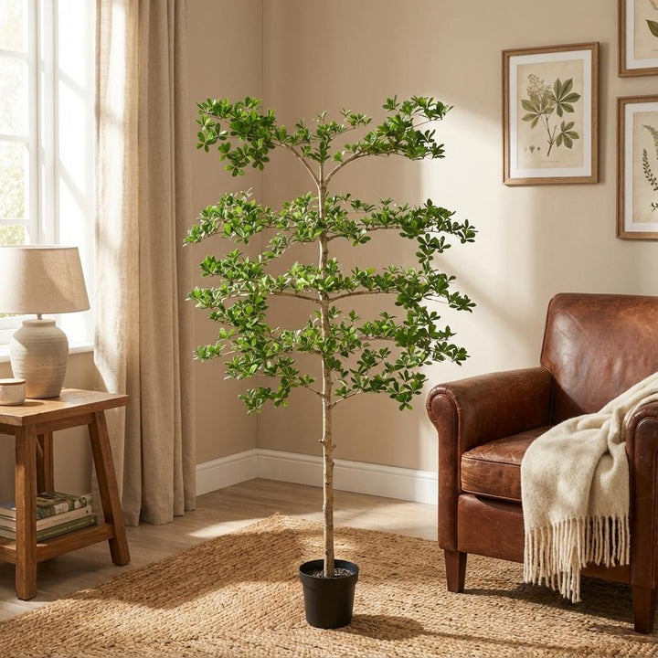 Bucida – 200 cm – Kunstpflanze – Unechte Pflanze Interieur | Kaufen