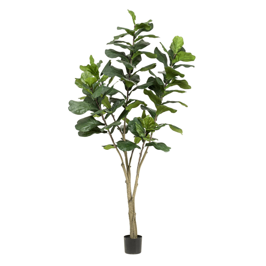 Kunstpflanze - Ficus Lyrata - Tabakspflanze - 210cm - Geigenfeige