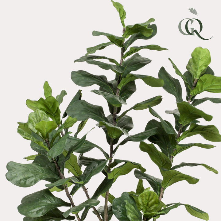 Kunstpflanze - Ficus Lyrata - Tabakspflanze - 210cm - Geigenfeige