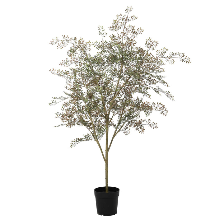 Kunstpflanze Bucida - 165cm - Künstliche Pflanze Interieur | Kaufen