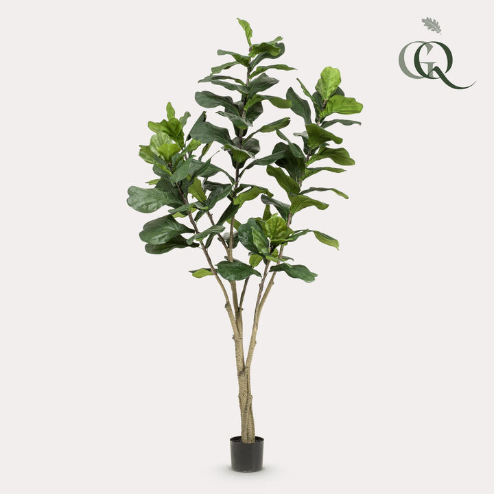 Kunstpflanze - Ficus Lyrata - Tabakspflanze - 210cm - Geigenfeige