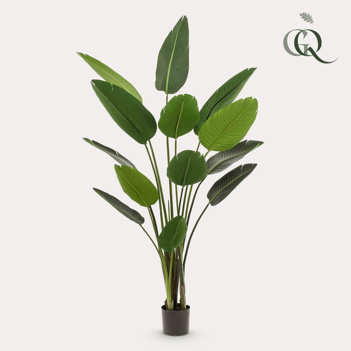 Plante artificielle - Strelitzia Nicolai - Oiseau de paradis - 190 cm
