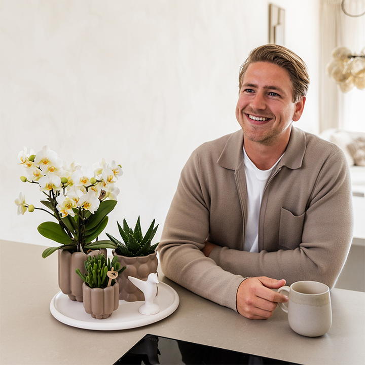 Orchidee-planten set (geleverd in keramieken potten)