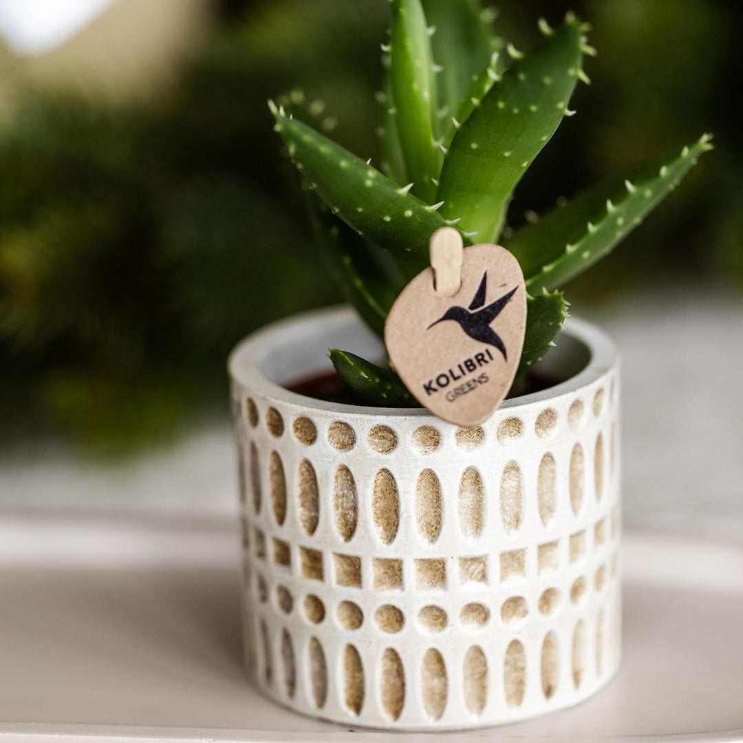 Mozaïek sierpot - Ø6cm - Plantenpot