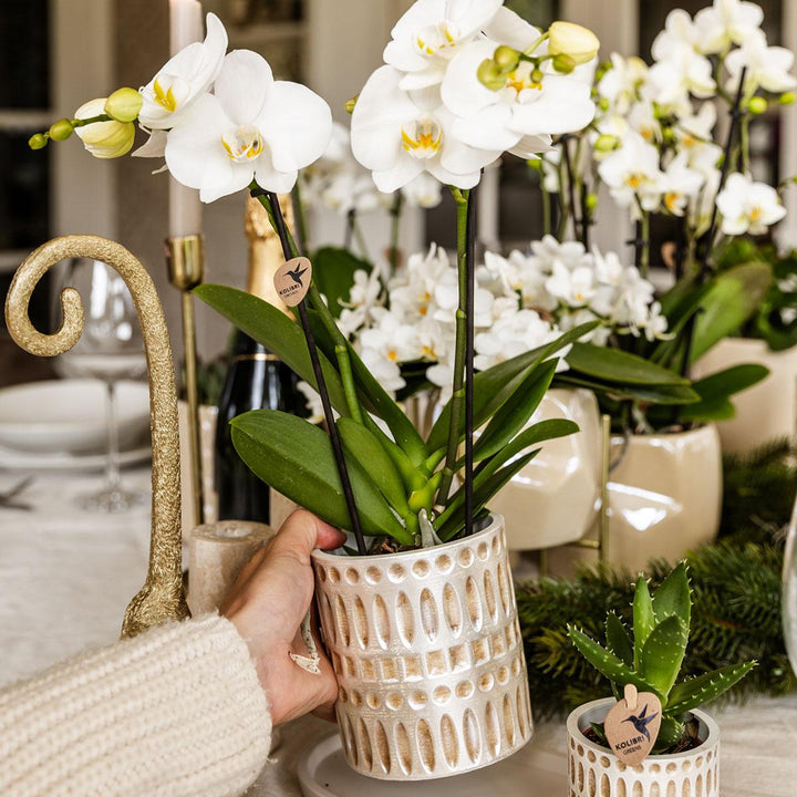 Mozaïek sierpot - Ø9cm - Plantenpot