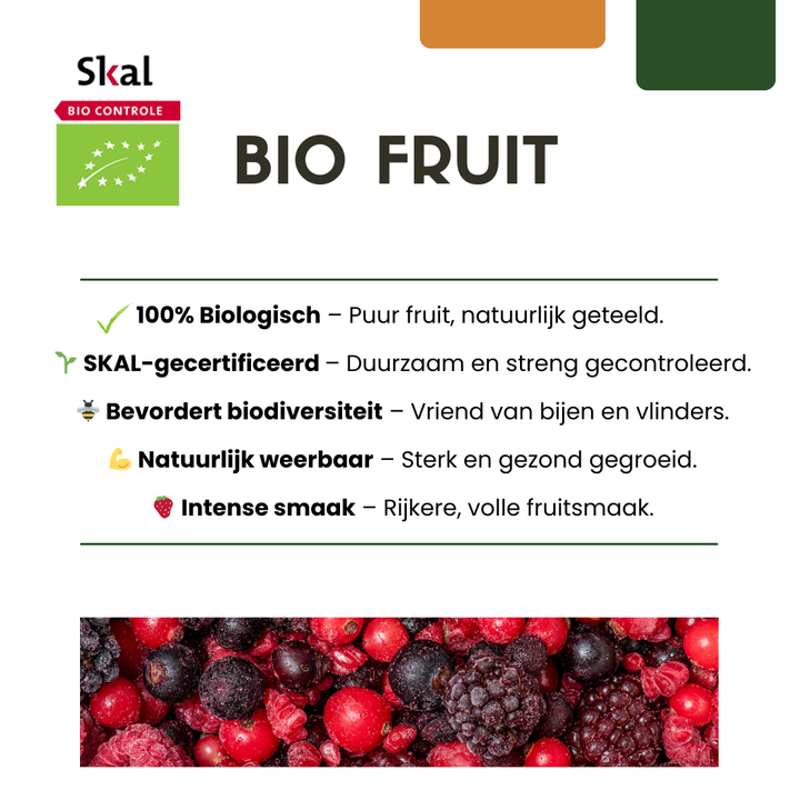 Biologische kiwiplanten - Ø 13 cm - ↨ 20 cm
