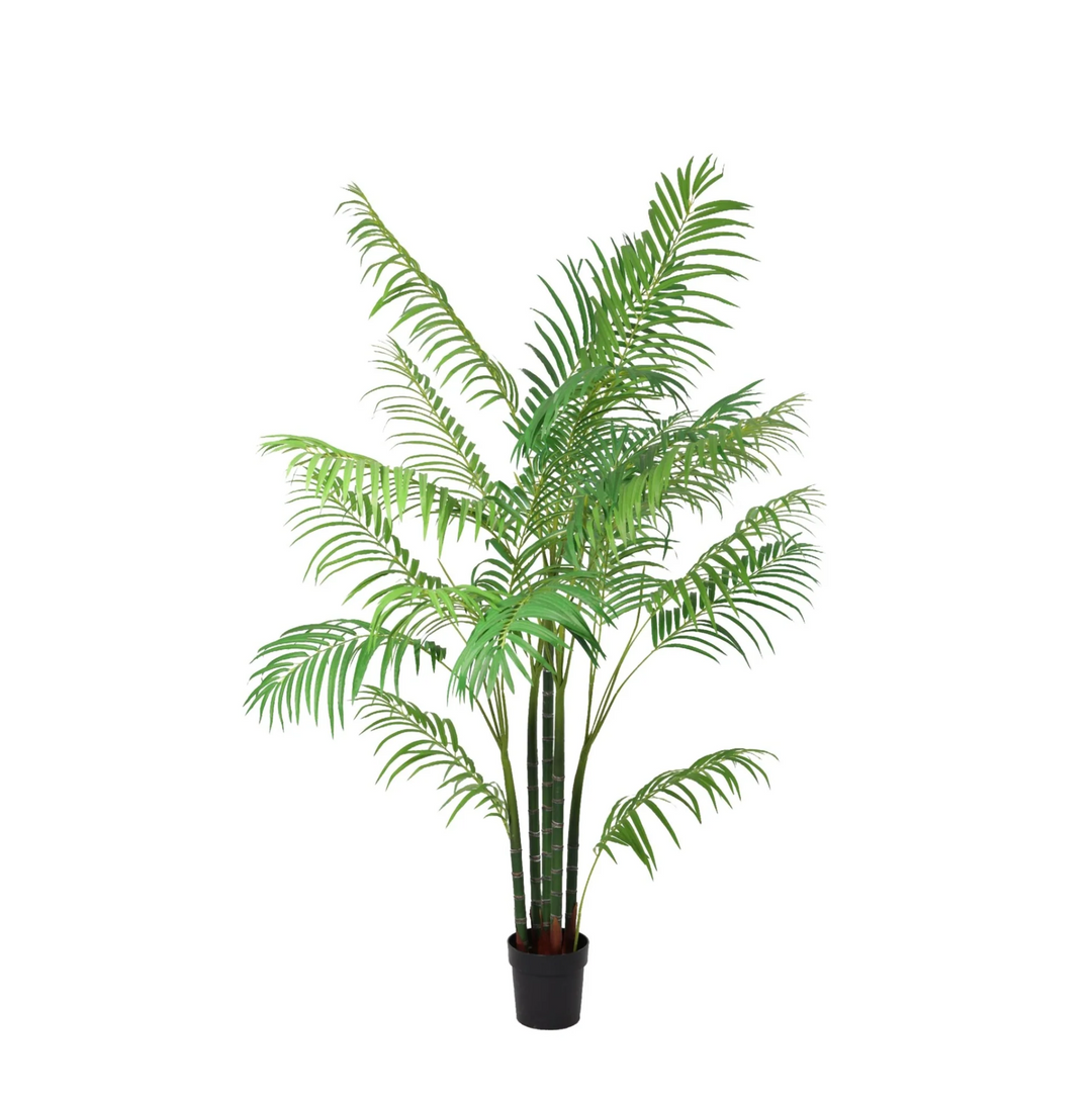 Aréca - 190cm - Plante artificielle - Palmier d'Arec - Acheter une plante d'intérieur