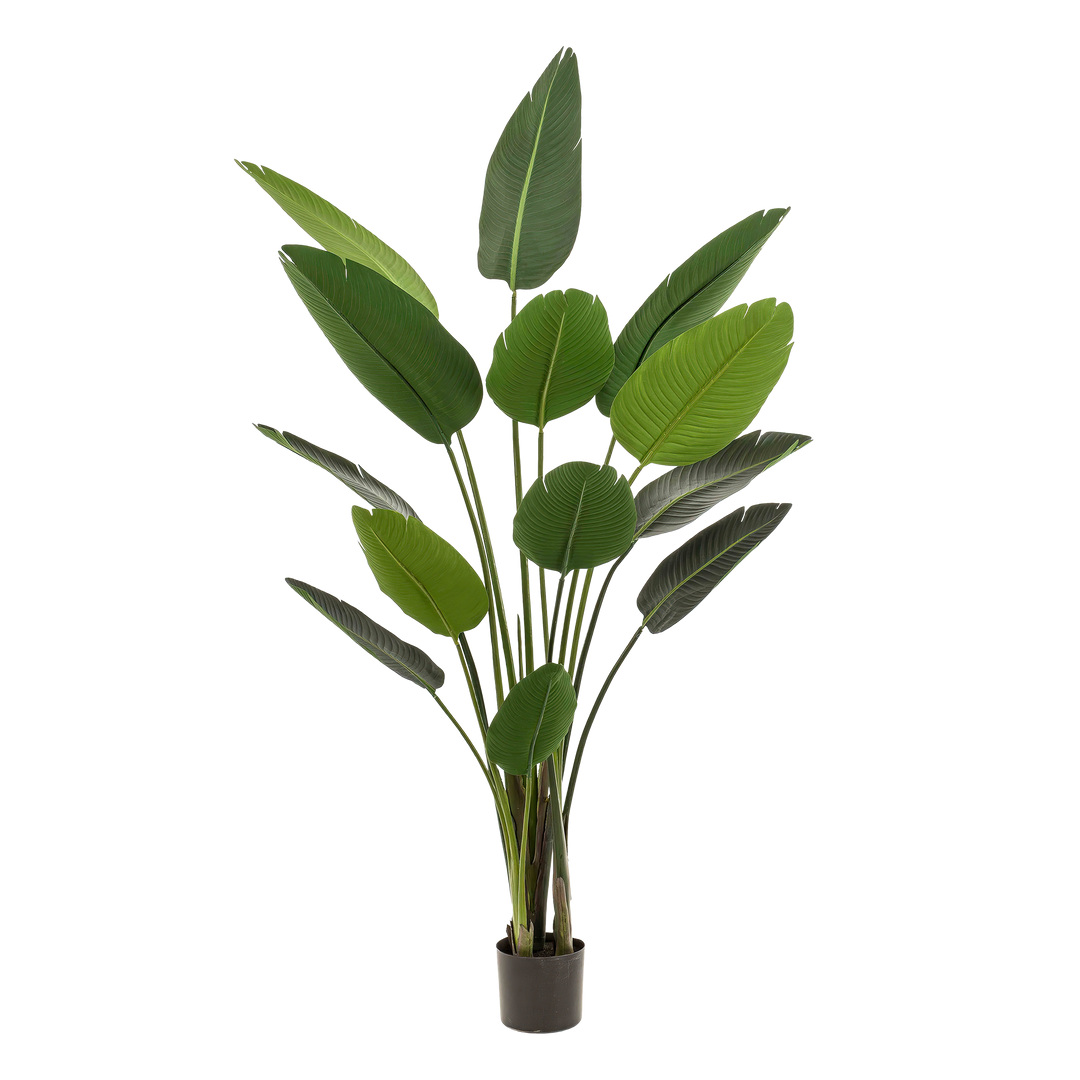 Plante artificielle - Strelitzia Nicolai - Oiseau de paradis - 190 cm