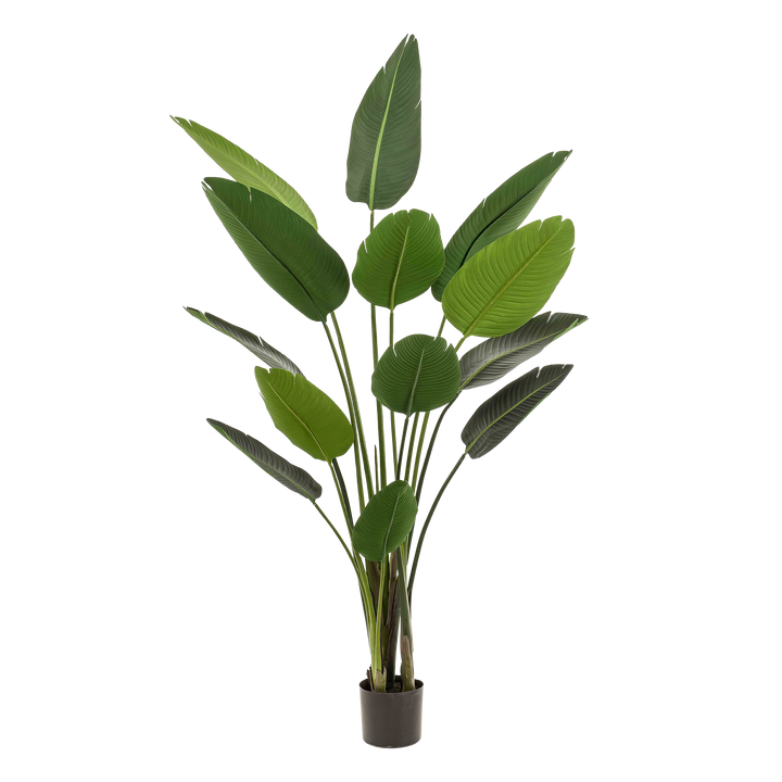 Plante artificielle - Strelitzia Nicolai - Oiseau de paradis - 190 cm