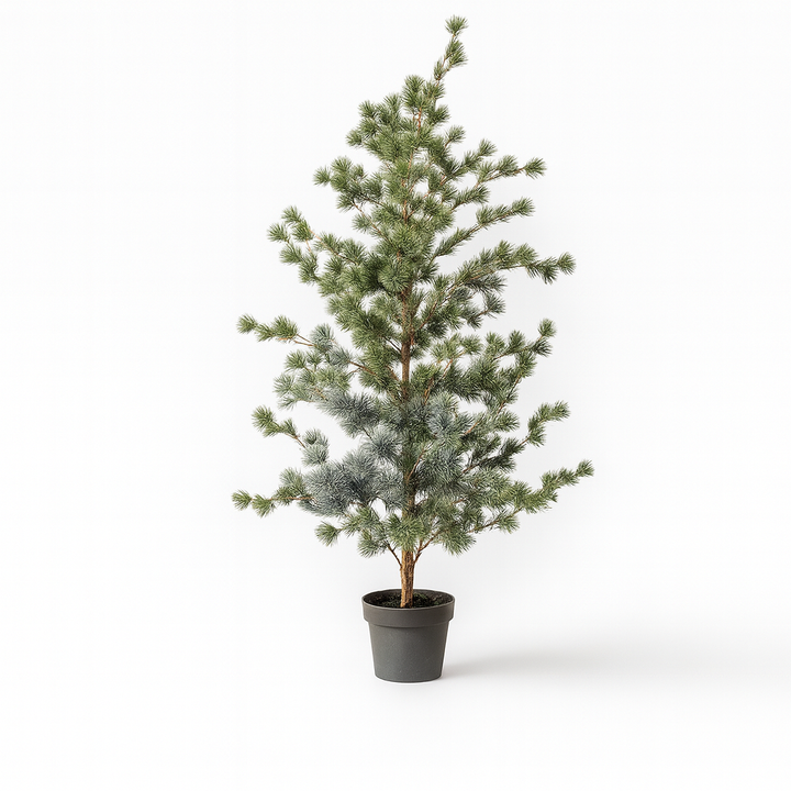 Tannenbaum (Cedar Pine) 150 cm – Kunstpflanze – Unechte Pflanze Interieur