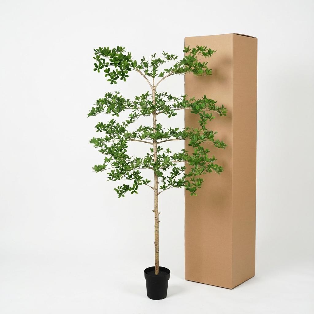 Bucida – 200 cm – Kunstpflanze – Unechte Pflanze Interieur | Kaufen