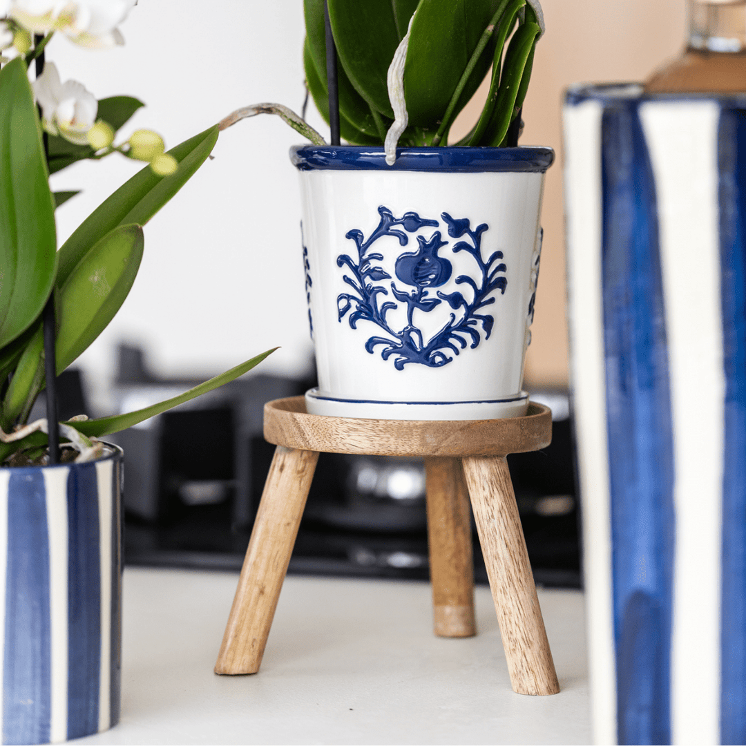 Orchidee Jamaica (Phalaenopsis) inclusief sierpot 'Malaga'