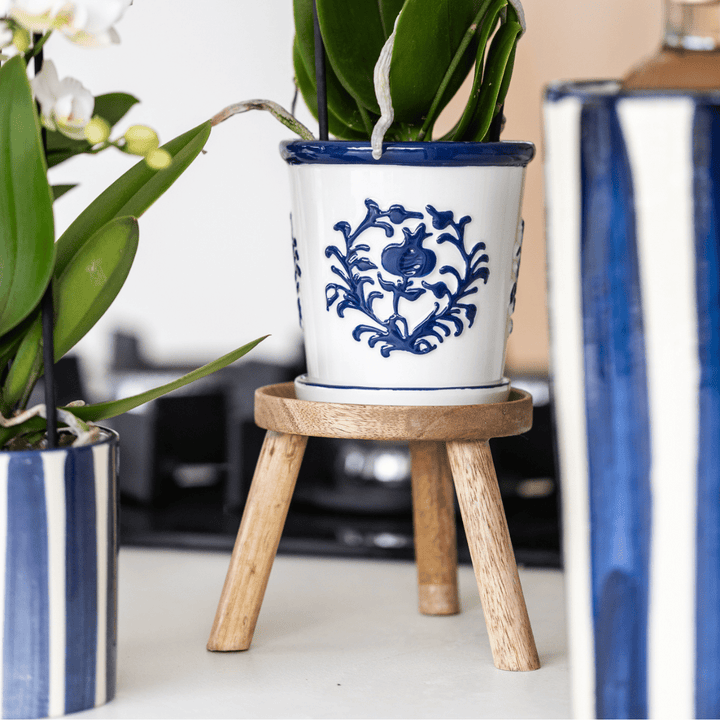 Orchidee Jamaica (Phalaenopsis) inclusief sierpot 'Malaga'