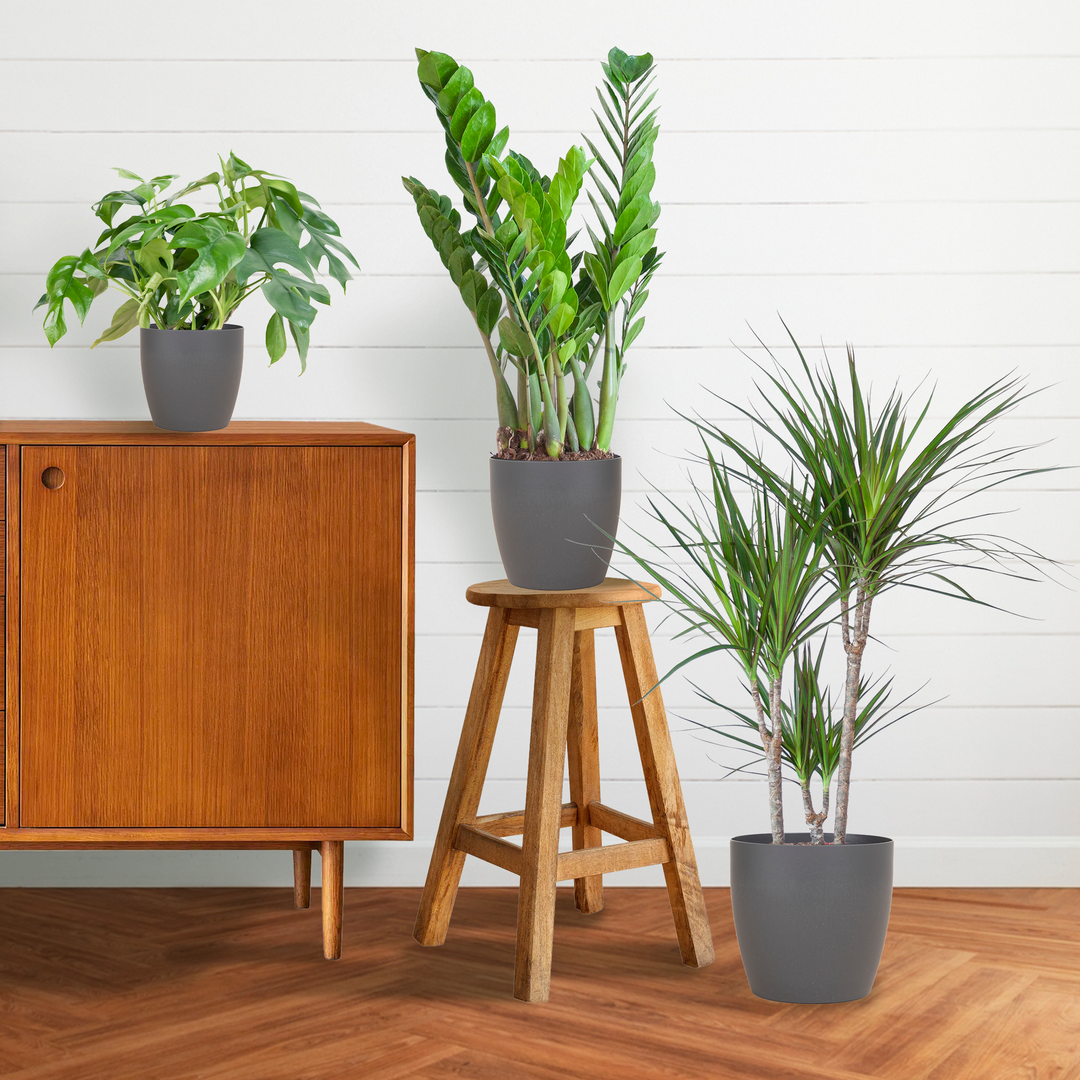 Schaduw Plantenbox met grijze Viber sierpot