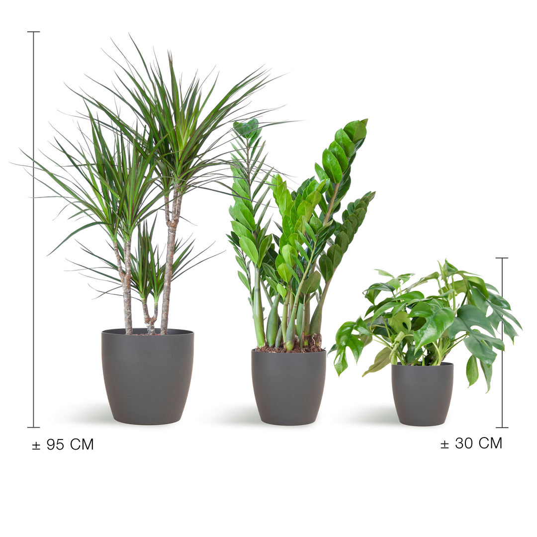 Schaduw Plantenbox met grijze Viber sierpot