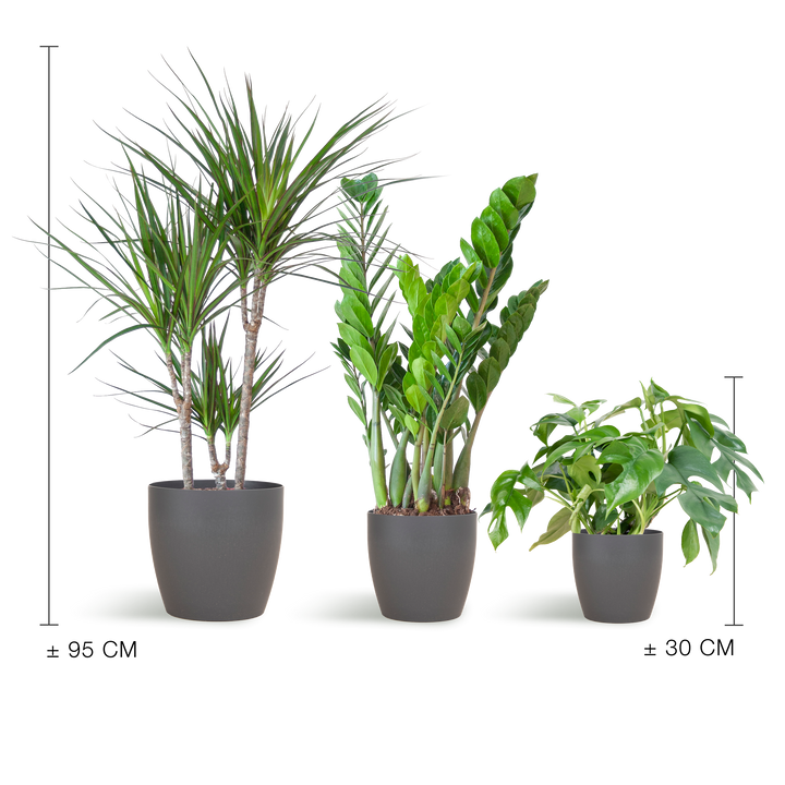 Schaduw Plantenbox met grijze Viber sierpot