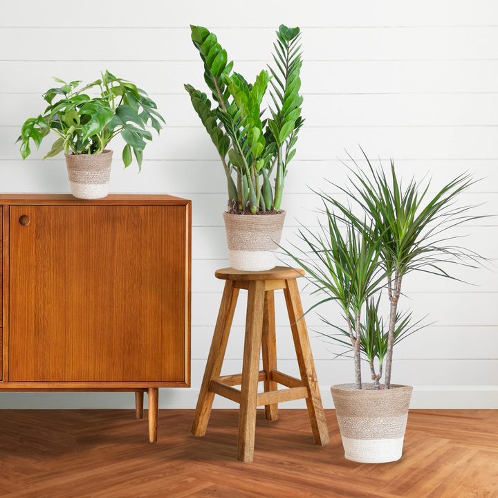 Schaduw Plantenbox met witte Lissabon mand