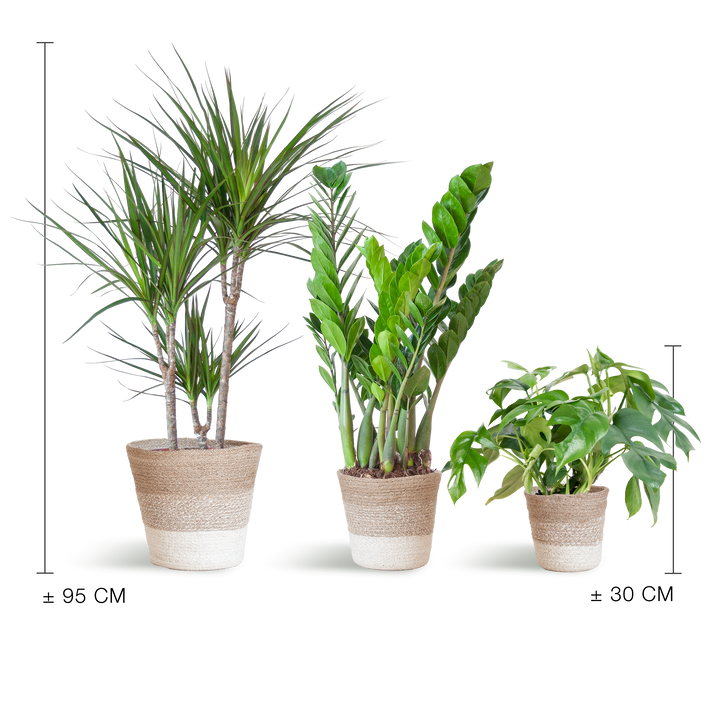 Schaduw Plantenbox met witte Lissabon mand