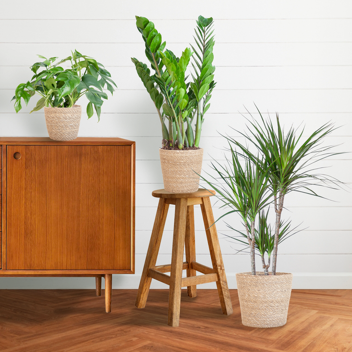 Schaduw Plantenbox met naturel Sofia mand