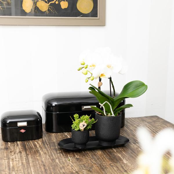 Ovale dienblad- Black